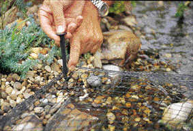 Aquanet103