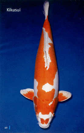 Kikusui