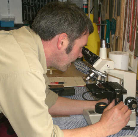 Microskop