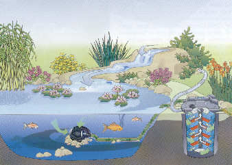 Teichbau 2