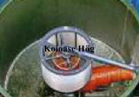 sifi bild